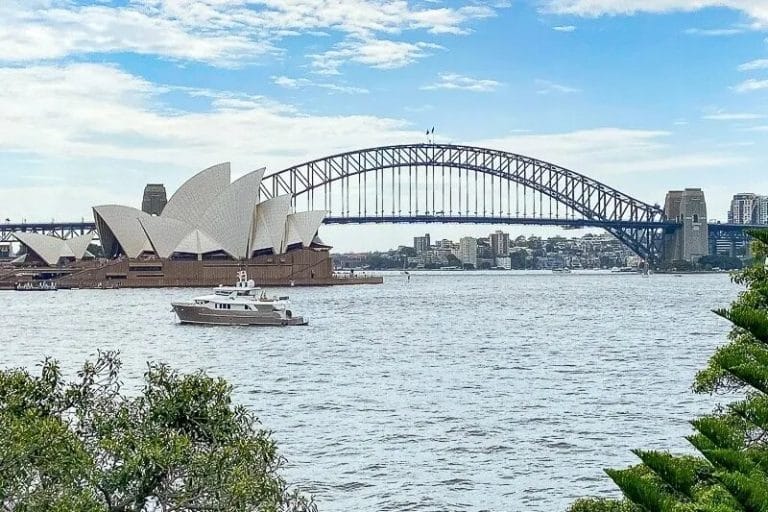 Creating Outdoor Spaces: A Guide to Landscaping in Sydney