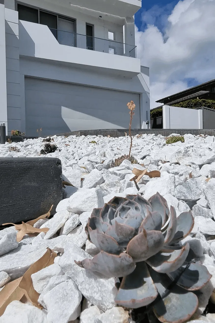 Native Garden Designs in Sydney with low-maintenance white pebbles and succulents, designed by Arianya for sustainable solutions.