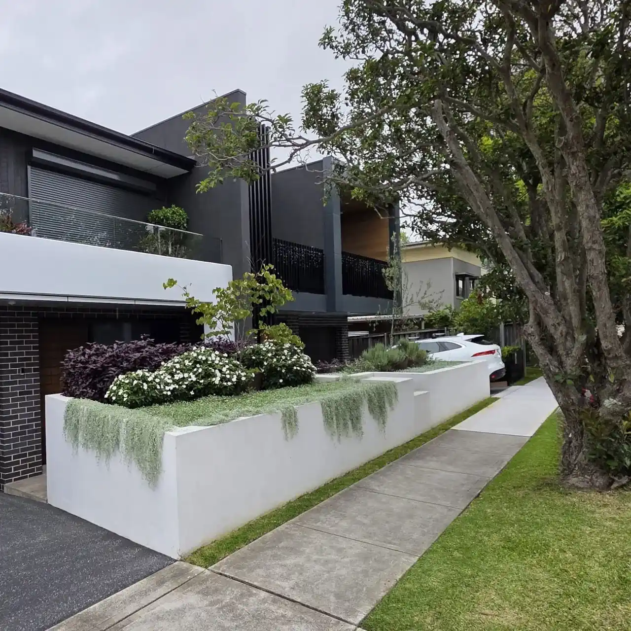 Modern Sydney home with Top Landscape Elements, featuring a white wall with plants and a neat lawn, expertly designed by Arianya.