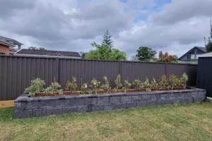 A Sydney backyard features a modern garden edging solution by Ariyania Landscapes. A sturdy concrete block garden edging forms a raised planter bed filled with various shrubs, set against a dark fence. The grassy lawn in the foreground contrasts with the cloudy sky and neighboring trees in the background. Explore our metal, steel, timber, corten, plastic, or brick garden edging options for your space!