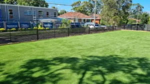 Lay Turf in Sydney with a lush lawn by a modern fence, expertly installed by Arianya, perfect for seasonal landscaping tips.