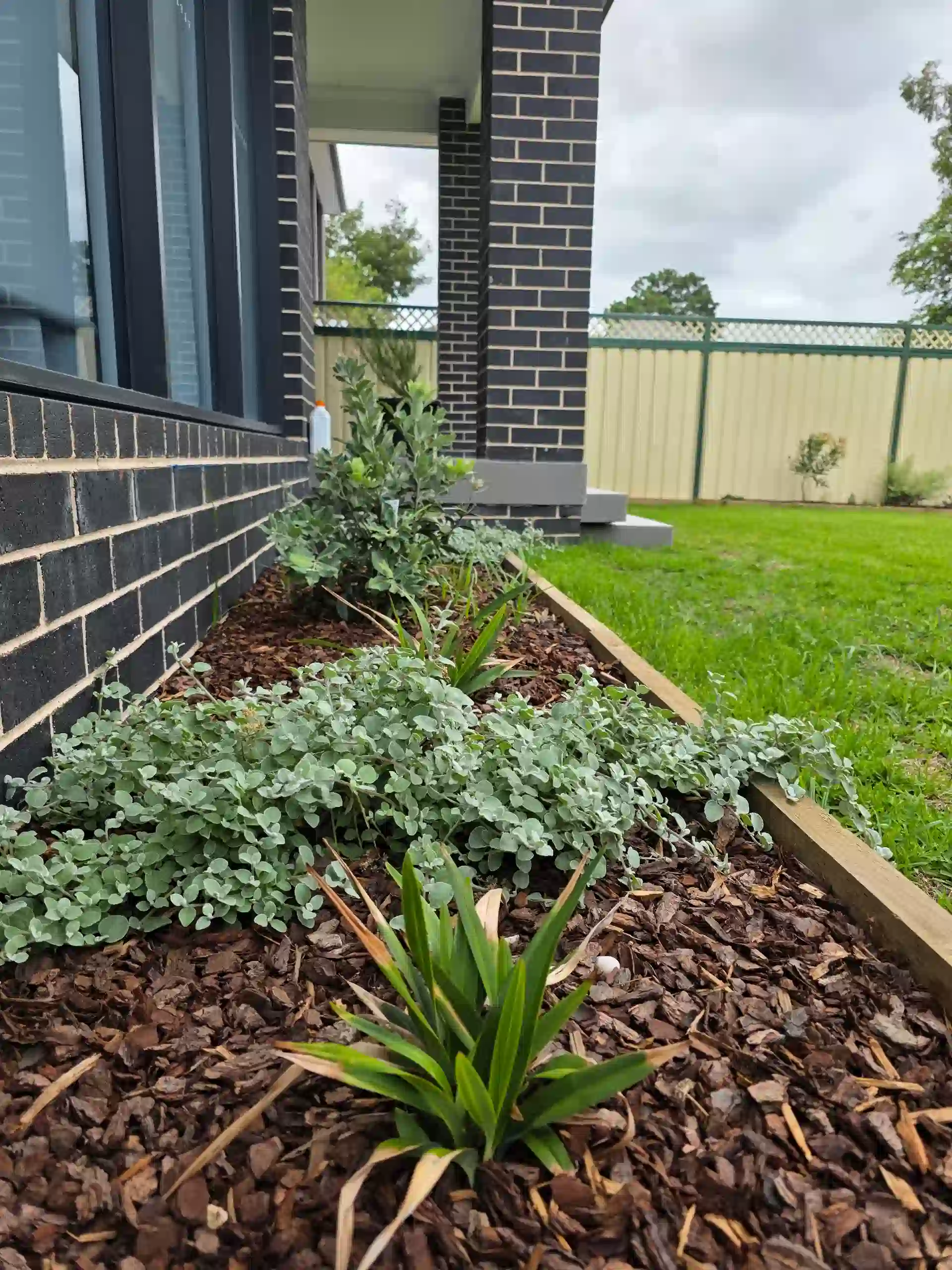 Newly mulched garden bed with plants beside a modern home, supported by an irrigation system in Sydney.