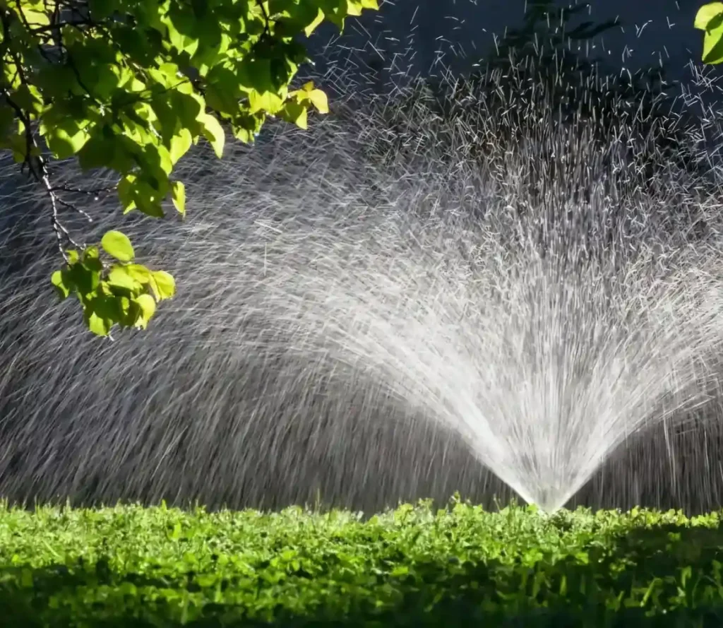 Garden sprinkler irrigation system watering green lawn under summer sun in a Sydney backyard.