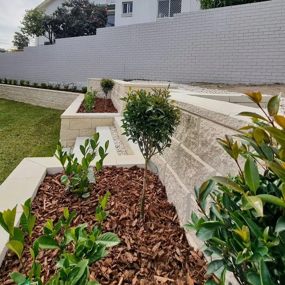 Lush and neat garden after garden maintenance in Sydney, with manicured hedges in a white and stone retaining wall, cleared weeds, and healthy green lawn freshly cut and watered.