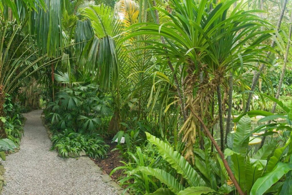 nice tropical gardens